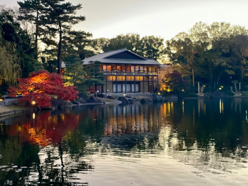 美しい庭園の景色