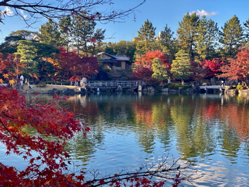 徳川庭園の紅葉