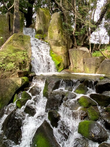 徳川庭園の滝