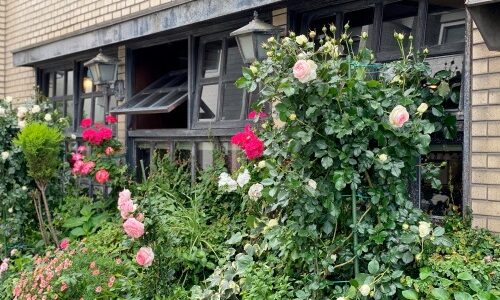 中村区・栄生『サンスター』薔薇の温室にいるようなレトロ純喫茶