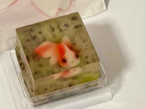金魚 アップ