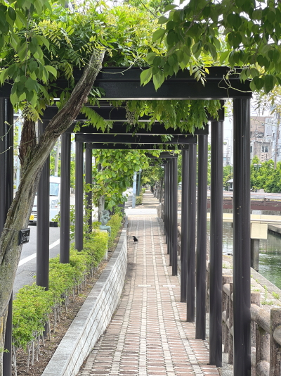 美しく澄んだ川沿いに緑豊かな木々が並び、遠くに小さな橋が見える大垣の穏やかな川沿いの散策路