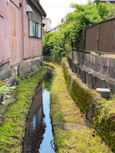 住宅地の隙間をなみなみと澄んだ綺麗な湧き水が流れる、緑豊かな大垣の細い水路