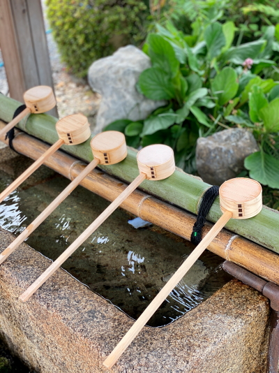 手水舎の周りに置かれた、みずみずしい緑のコケやシダが豊かな湧き水に潤されている様子