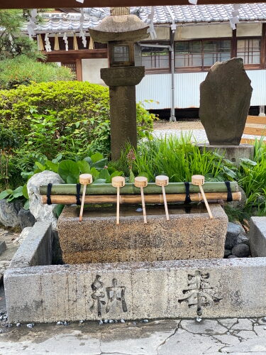竹筒から透き通ったお水が静かに流れ落ち、青々としたもみじの葉が添えられた風情ある手水舎