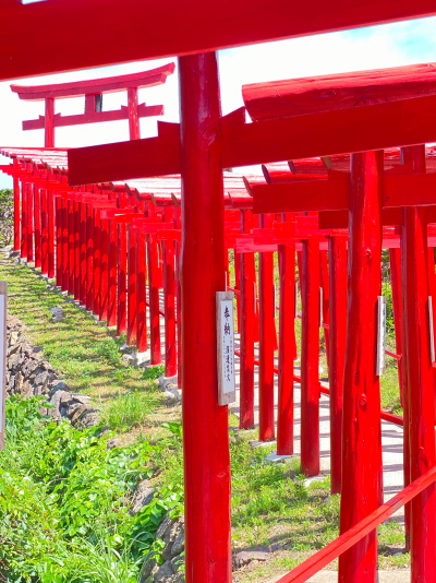 青空のもとに連なる元乃隅神社の鮮やかな赤い鳥居のトンネル