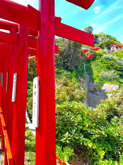 断崖絶壁と海に沿って美しい曲線を描く元乃隅神社の赤鳥居