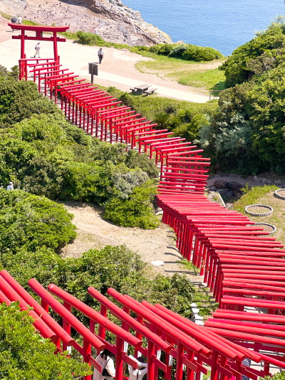 緑の山肌を縫うように海へ向かって伸びる元乃隅神社の赤い鳥居と青い日本海