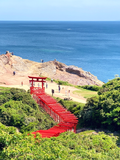 元乃隅神社の見晴らし台から見下ろすコバルトブルーの日本海と朱色の鳥居の絶景
