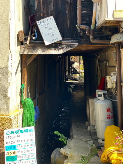 山並みをバックに生活の息遣いが感じられる岩村城下町の美しい全景
