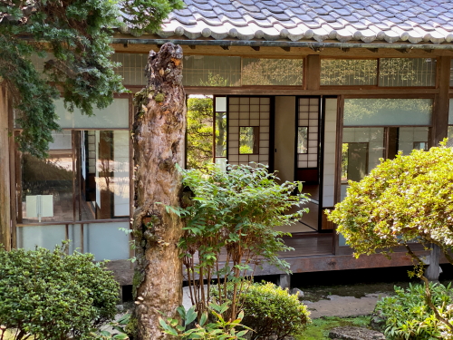 部屋から臨む勝川家の手入れされた美しい中庭