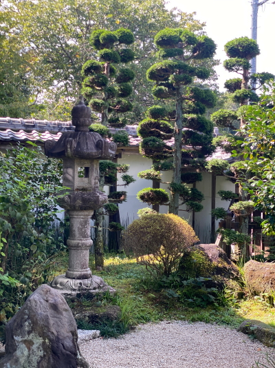 縁側から望む木村邸の手入れされた中庭