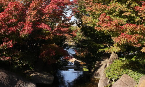 『徳川園』紅葉の日本庭園散策＆旧迎賓館で楽しむティータイム！