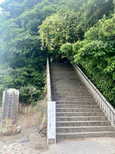 蒲郡 竹島 島全体が天然記念物 パワースポット 竹島水族館すぐ緑の小島 おいしいなごや