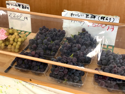 お値打ちな家庭用パック売りぶどうコーナー