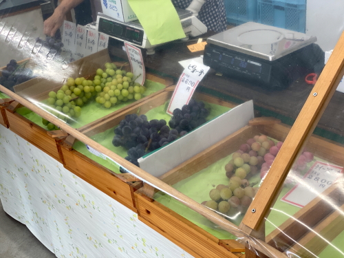量り売りの高級品種ぶどう