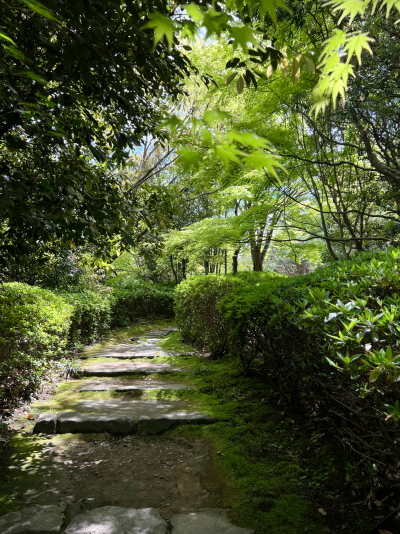 白鳥庭園の木道