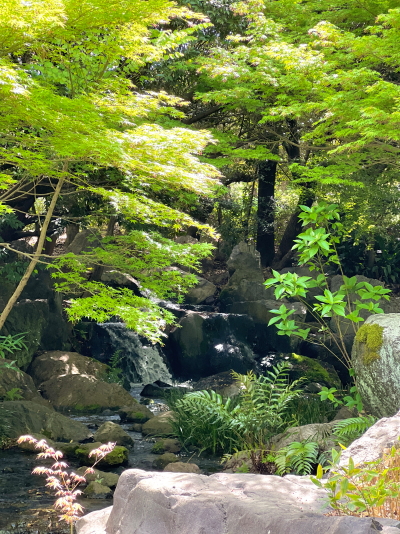 白鳥庭園の雄滝